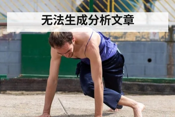 无法生成分析文章